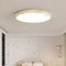 Flush Mount Lights