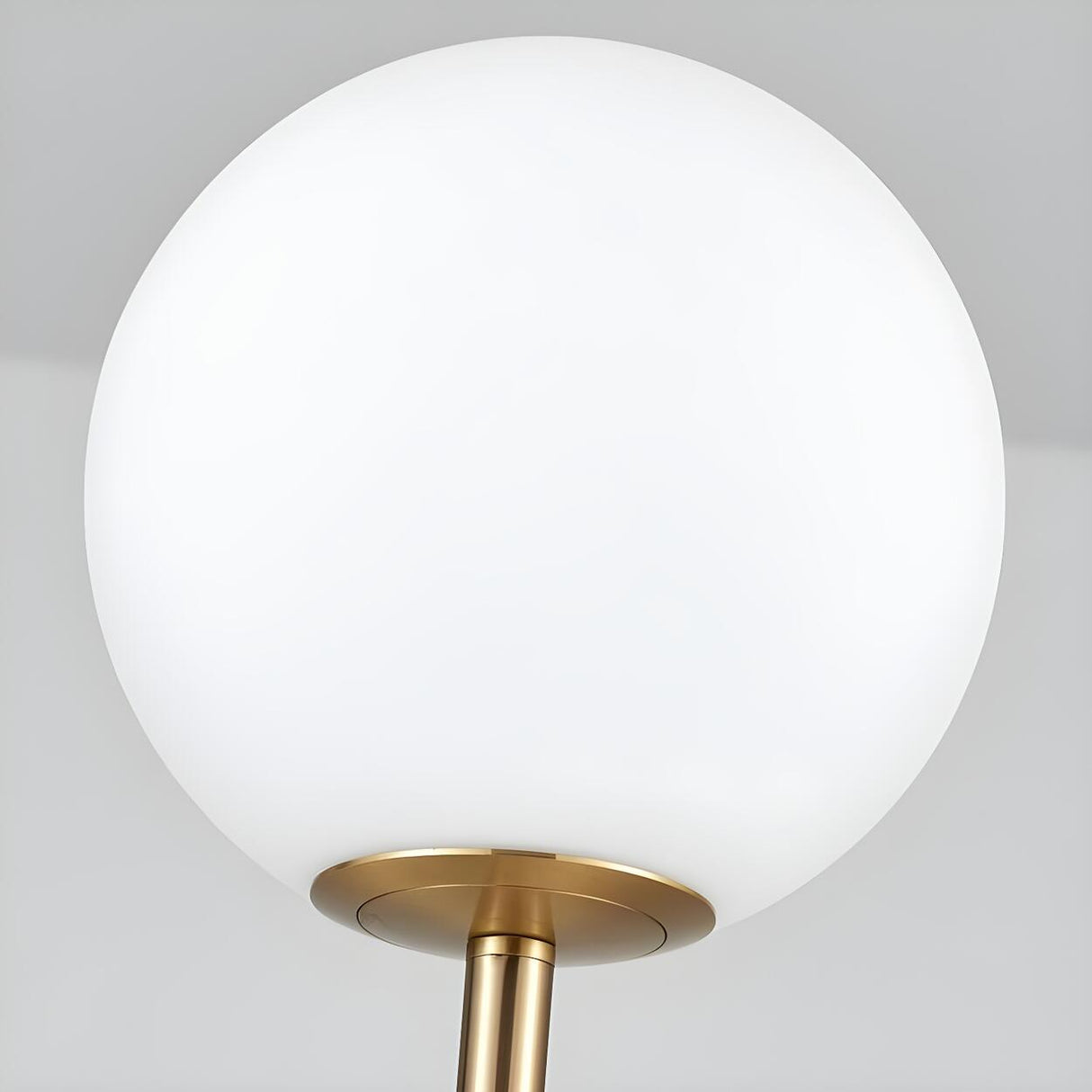 2-Light Globe and Floral Shade Modern Floor Lamp Image - 5