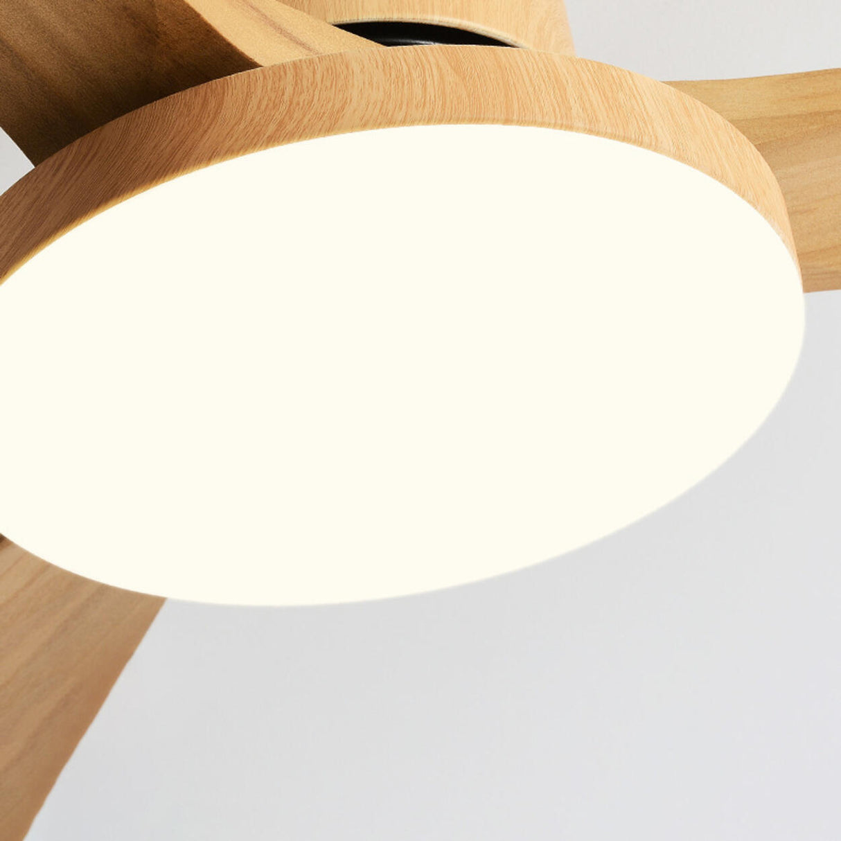 3 Solid Wood Blades Modern Simple Ceiling Fan Light Image - 6