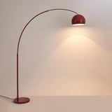 Adjustable Multiple Colors Dome and Arch Floor Lamp Image - 2