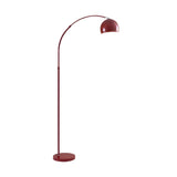 Adjustable Multiple Colors Dome and Arch Floor Lamp Image - 7