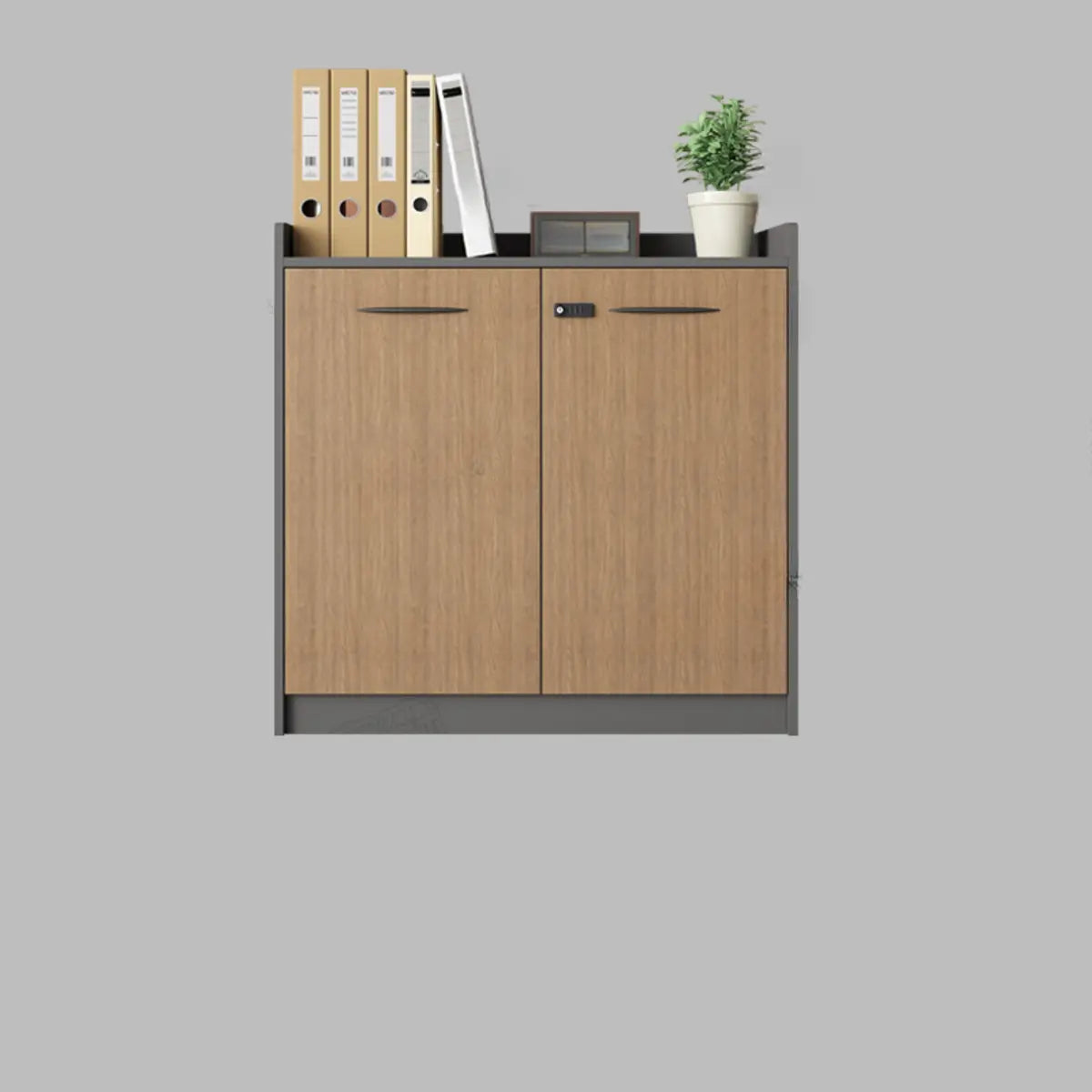 Adjustable Wood Natural Lockable Office Storage Cabinet Image - 2