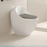 Antimicrobial Seat Modern Oval Ceramic White Compact Toilet Image - 21