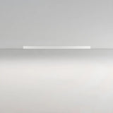 Balcony Black Linear Dimmable Flush Mount Ceiling Light Image - 13