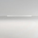 Balcony Black Linear Dimmable Flush Mount Ceiling Light Image - 17