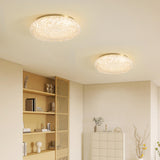 Bedroom Gold Resin Round Flush Mount Ceiling Light Image - 15