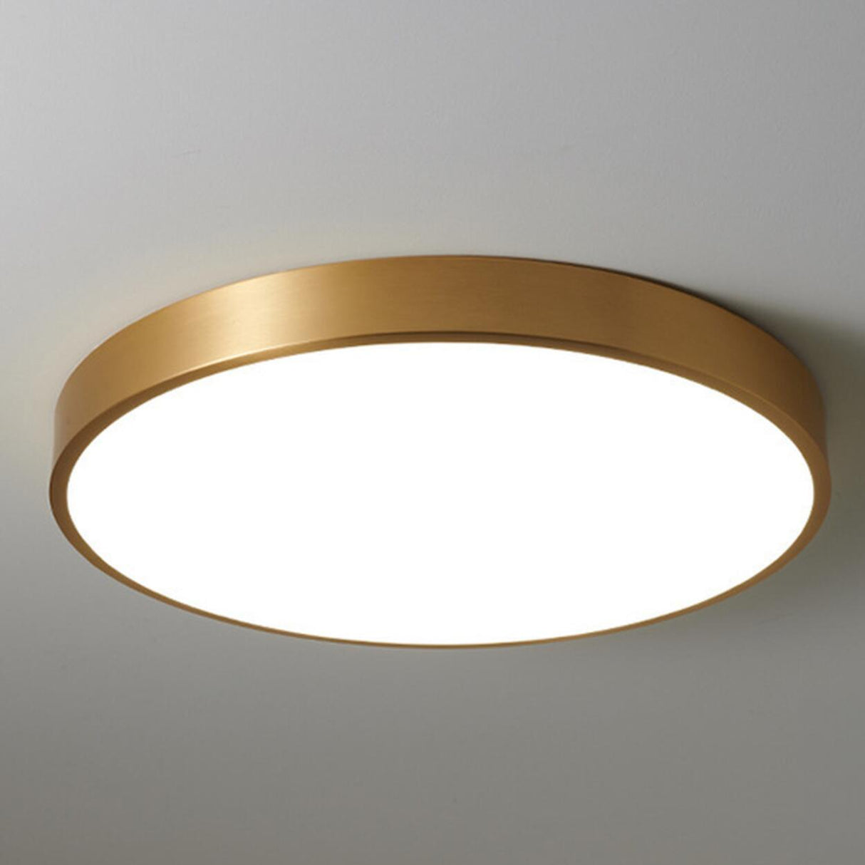 Bedroom Minimalist Golden Circle LED Flush Mount Light Image - 9