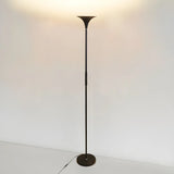 Bedroom Torch Minimalist Black Metal LED Floor Lamp Image - 2