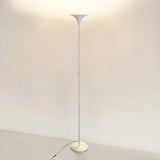 Bedroom Torch Minimalist Black Metal LED Floor Lamp Image - 3