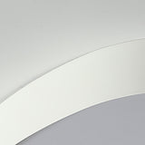 Bedroom White Egg-Shaped LED Flush Mount Ceiling Light Image - 8