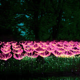 Bionic Fiber Optic Flower Garden Landscape Lighting Image - 1