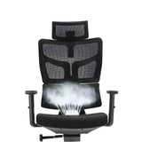 Black Adjustable Ergonomic Mesh High-Back Office Chair Image - 10