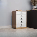 Black Lockable Steel Small Filing Cabinets with Drawers Image - 10