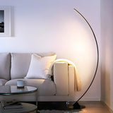 Black Modern Curved Metal Living Room Floor Lamp Image - 15