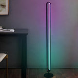 Black Oval Modern Color-Changing LED Floor Lamp Image - 1