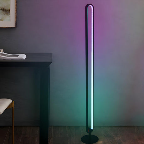 Black Oval Modern Color-Changing LED Floor Lamp Image - 1