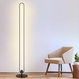 Black Oval Modern Color-Changing LED Floor Lamp Image - 2