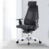 Black Swivel Wheels Ergonomic Mesh High-Back Office Chair Image - 1