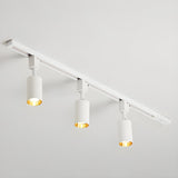 Black Tubular Track LED Semi-Flush Mount Light 5-Light Image - 4