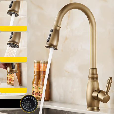 Brass Rust Resistant Swivel Spout Kitchen Faucets Image - 2