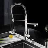 Brass Spring Neck Swivel Spout Kitchen Faucet with Spray Image - 1