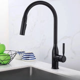 Brass Swivel Spout Kitchen Faucet with Supply Lines Image - 2