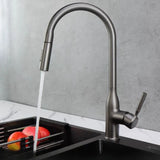 Brass Swivel Spout Kitchen Faucet with Supply Lines Image - 3