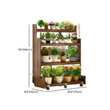 Brown Multi-Tier Wood Rolling Crate Large Plant Stand Image - 27