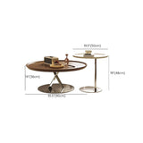 Brown Tray Top Stainless Steel Base Round Coffee Table Image - 15