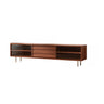 Brown Wood Enclosed Storage TV Stand with Shelves Image - 2