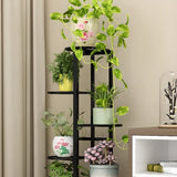 Casual Multi-Level Oval Metal Indoor Plant Stand White Image - 16