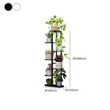 Casual Multi-Level Oval Metal Indoor Plant Stand White Image - 20