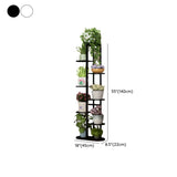 Casual Multi-Level Oval Metal Indoor Plant Stand White Image - 21