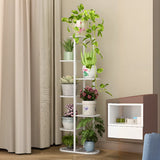 Casual Multi-Level Oval Metal Indoor Plant Stand White Image - 8