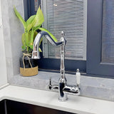 Stainless Steel Bridge Faucets with Lever Handles Image - 3