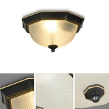 Classic Frosted Glass Bowl-Shaped Flush Mount Light Image - 9