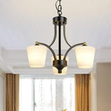 Classic Iron White Glass Chandelier Adjustable Height Image - 22