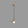 Classic UFO Solid Wood Geometric Disc Pendant Light Image - 4