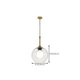 Clear Glass Globe Pendant Light Variable Length #size