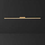 Cloakroom Gold Linear LED Flush Mount Ceiling Light Image - 7