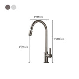 Cold Water Dispensers Swivel Spout Kitchen Faucets #size