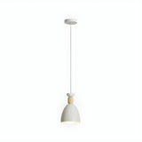 Colorful Nordic Wooden Iron Cone Pendant Light Image - 2