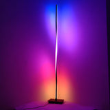 Contemporary Black LED Twisted Metal Floor Lamp Image - 4