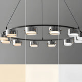 Contemporary Circle Cylinder Living Room Black Chandelier Image - 10