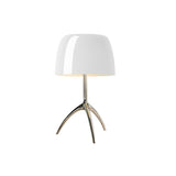 Contemporary Domed Glass Tripod Decorative Table Lamp Image - 11