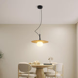 Contemporary Globe Bulb Resin Disc Pendant Light Image - 1