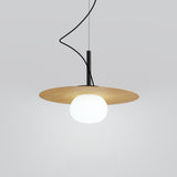 Contemporary Globe Bulb Resin Disc Pendant Light Image - 11