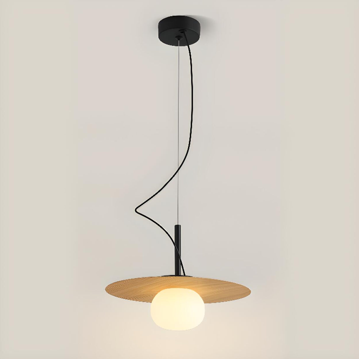 Contemporary Globe Bulb Resin Disc Pendant Light Image - 5