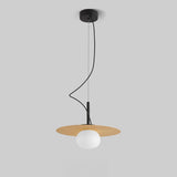 Contemporary Globe Bulb Resin Disc Pendant Light Image - 9