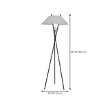 Contemporary Multi-Sphere Black Tripod Floor Lamp Image - 14